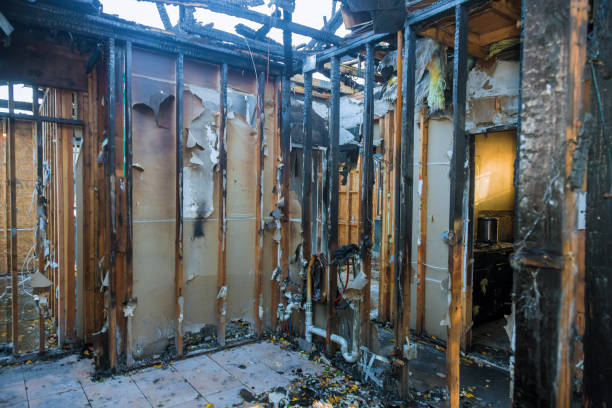 Professional Odor Removal technician working in Stanchfield, MN
