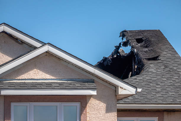 Top rated local Odor Removal specialists in Stanchfield, MN